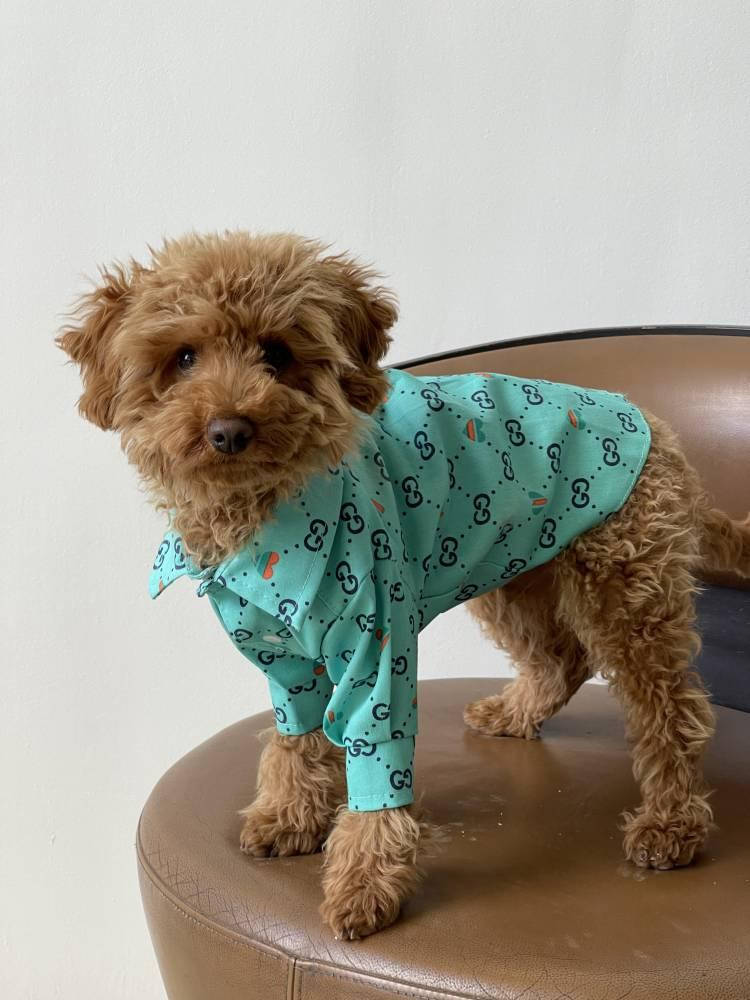 

Рубашка Гуччи бирюзовая для собак Dogs Bomba