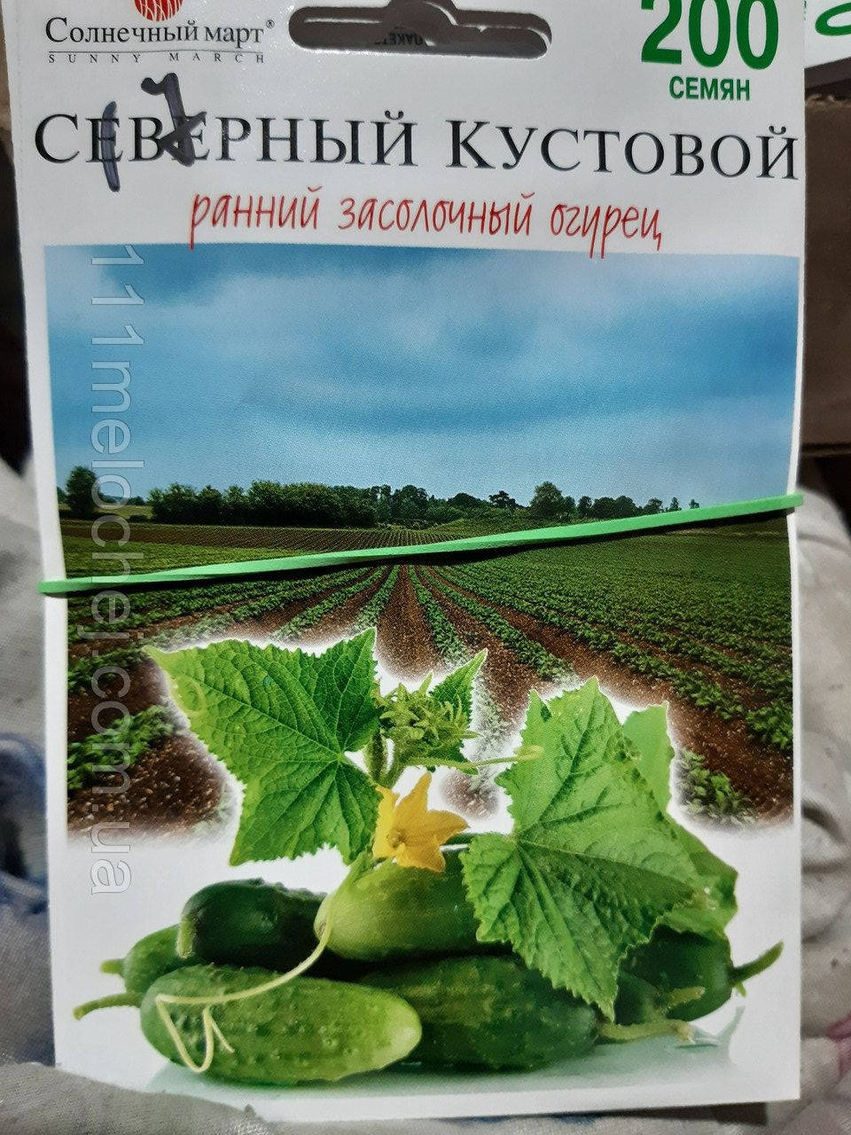 

Огурец Северный кустовой, ранний засолочный. 200 семян