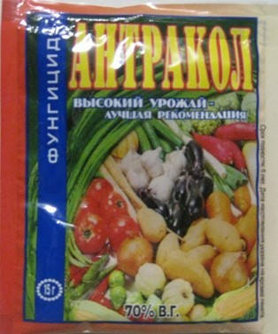 

Антракол, 15г.
