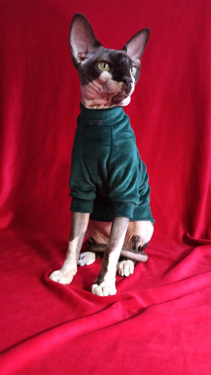 

Велюровая кофта с рукавом и без для кота/кошки сфинкса