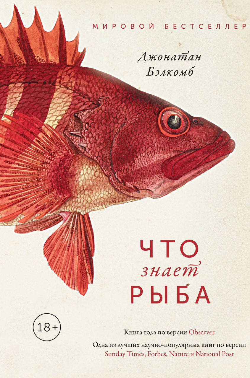 

Что знает рыба. Внутренний мир наших подводных собратьев. Бэлкомб Дж.
