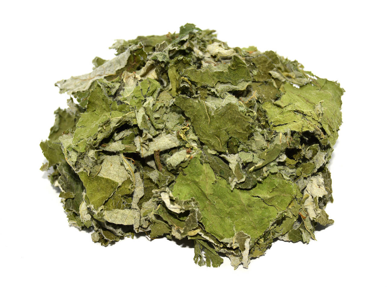 

Лопух большой трава (Репейник)