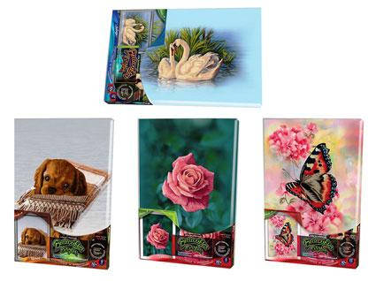 

Набор для творчества "Вышивка гладью" по номерам на подрамнике 5347 5 видов