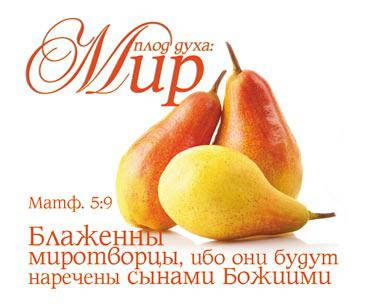 

Открытка карточка "Плод духа: Мир"