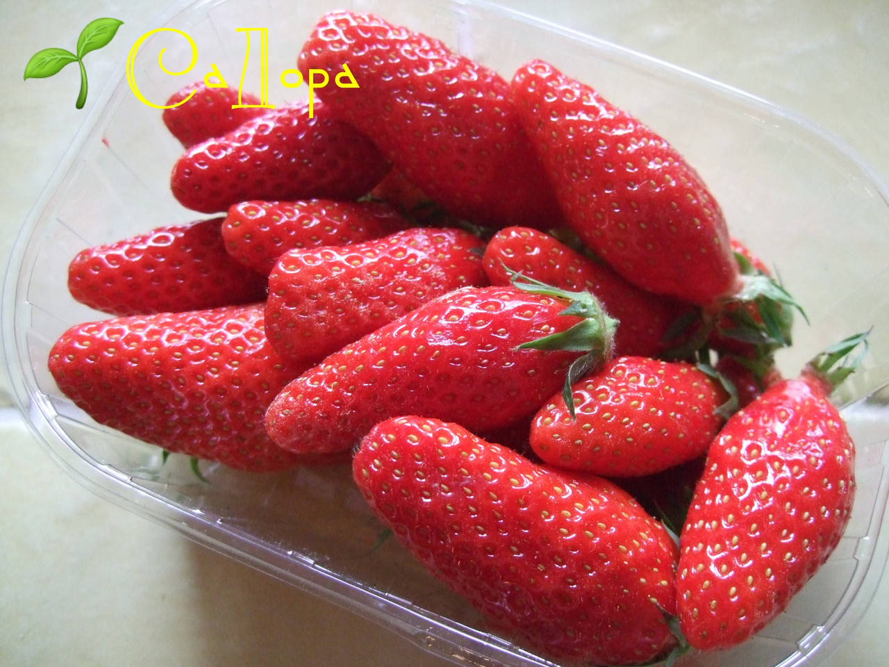 

Клубника Гаригуэтта (Гаригет)