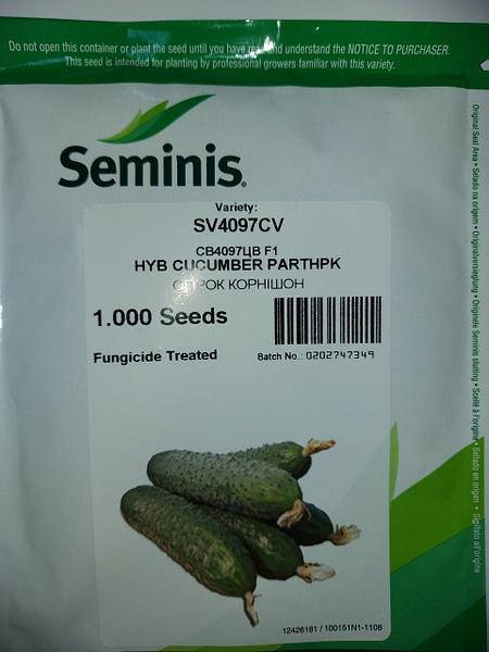

Семена огурца SV 4097 (1000сем.), Seminis (Семинис)