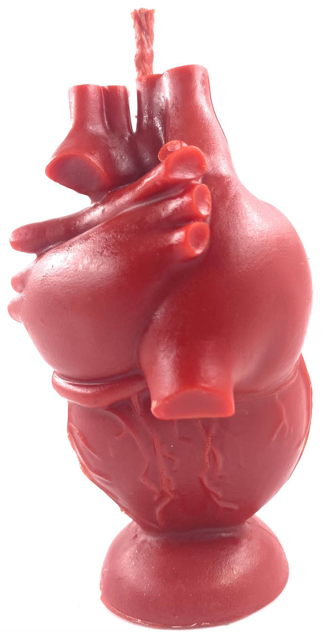 

Свеча из пчелиного воска Анатомическое Сердце, Разные цвета