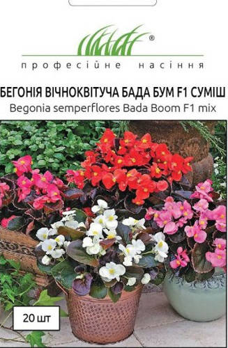 

Семена Бегония Бада Бум F1 смесь 20 шт