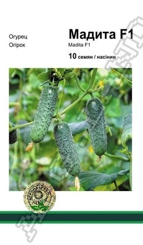 

Огурец Мадита F1 - 10 семян А (Seminis)