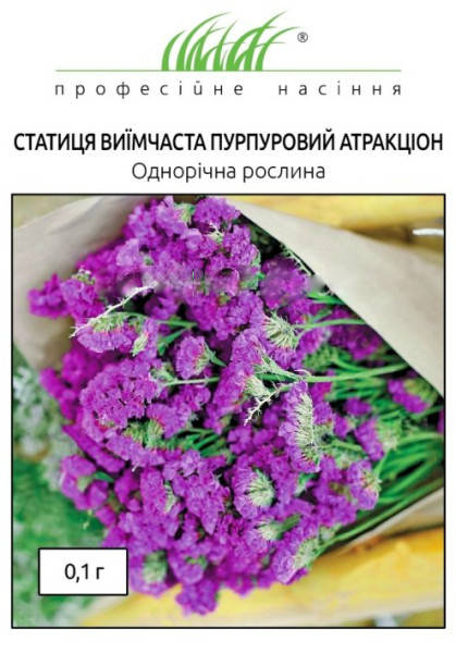 

Семена Кермек (статице) Пурпурный Атракцион 0,1 грамма Hem Zaden