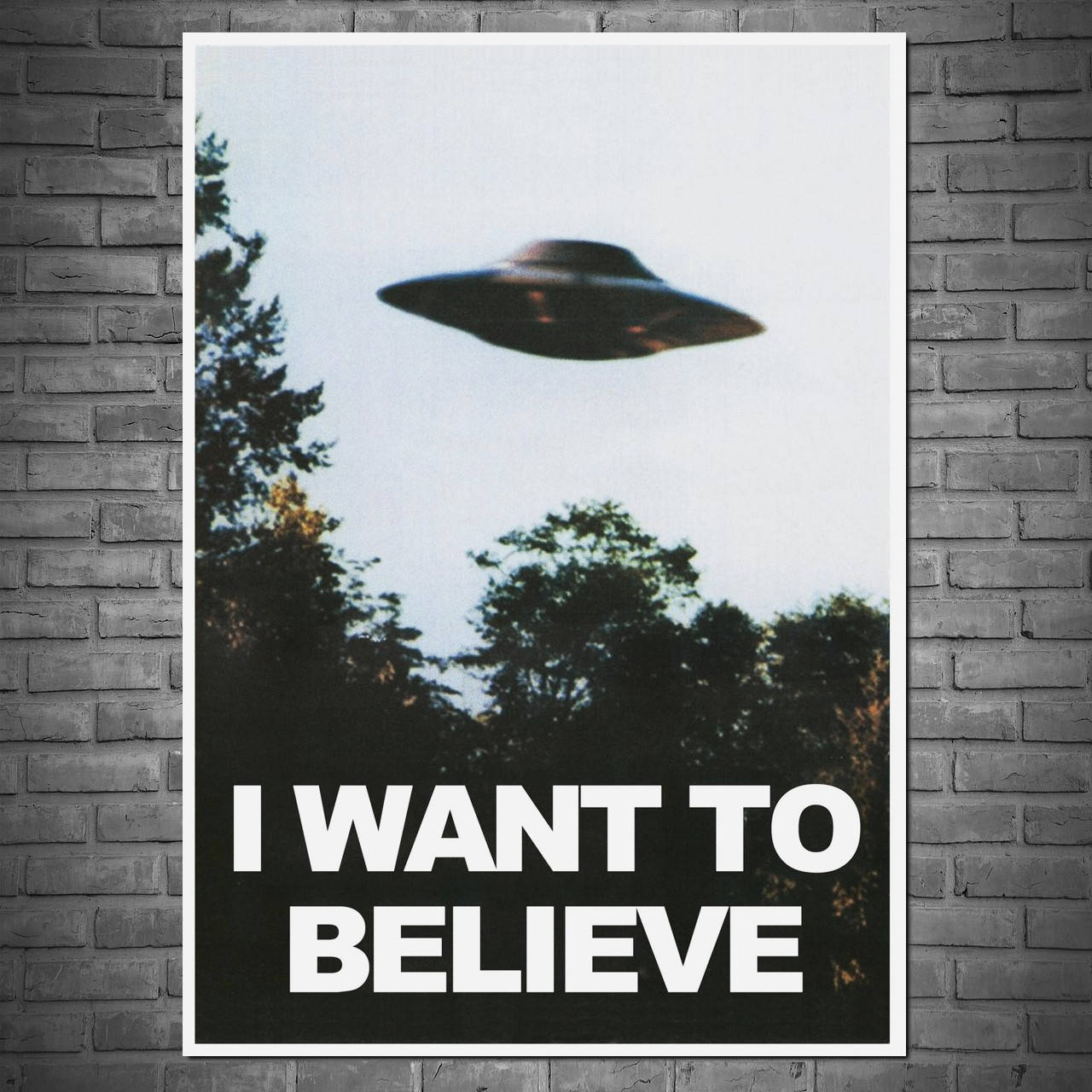 

Плакат "Секретные материалы, X-Files, I want to believe" (артикул 1578) 60, Матовая, 43