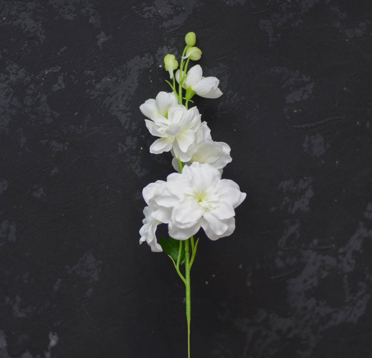 

Ветка дельфиниума белого цвета, Белый