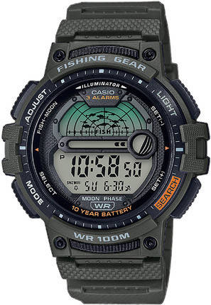 

Часы мужские CASIO WS-1200H-3AVEF