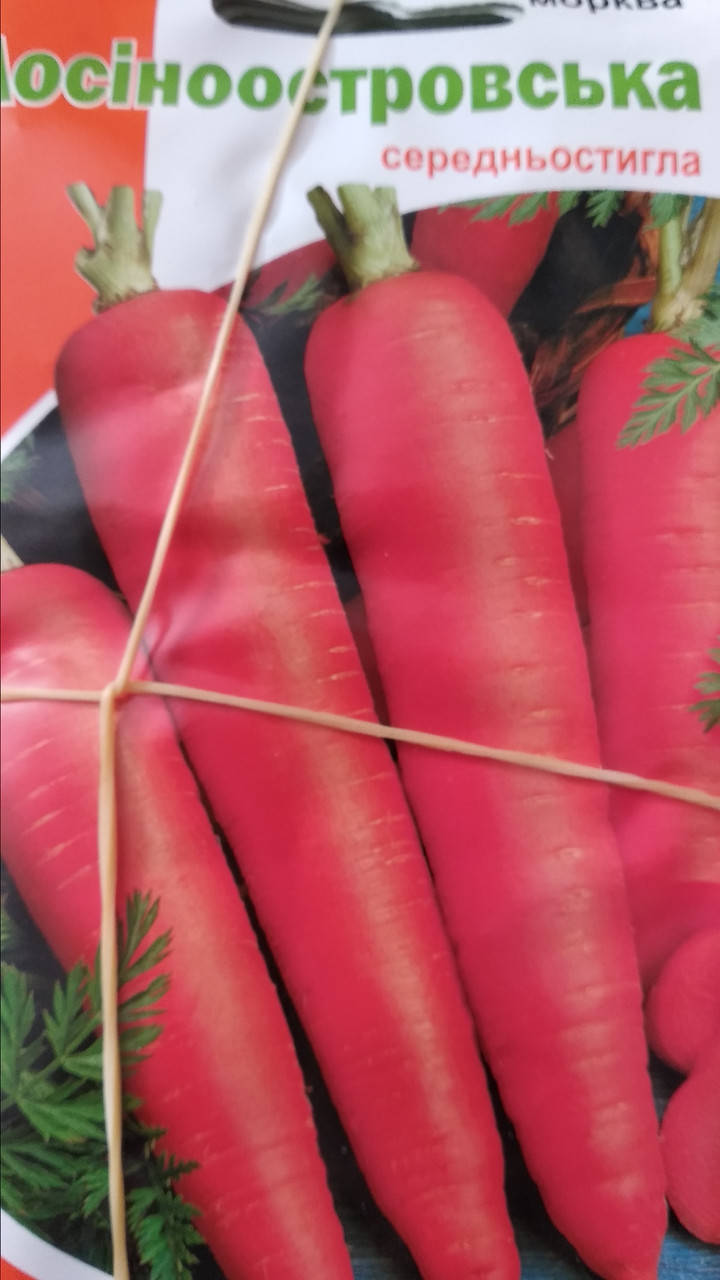 

Морковь Лосиноостровская 3г