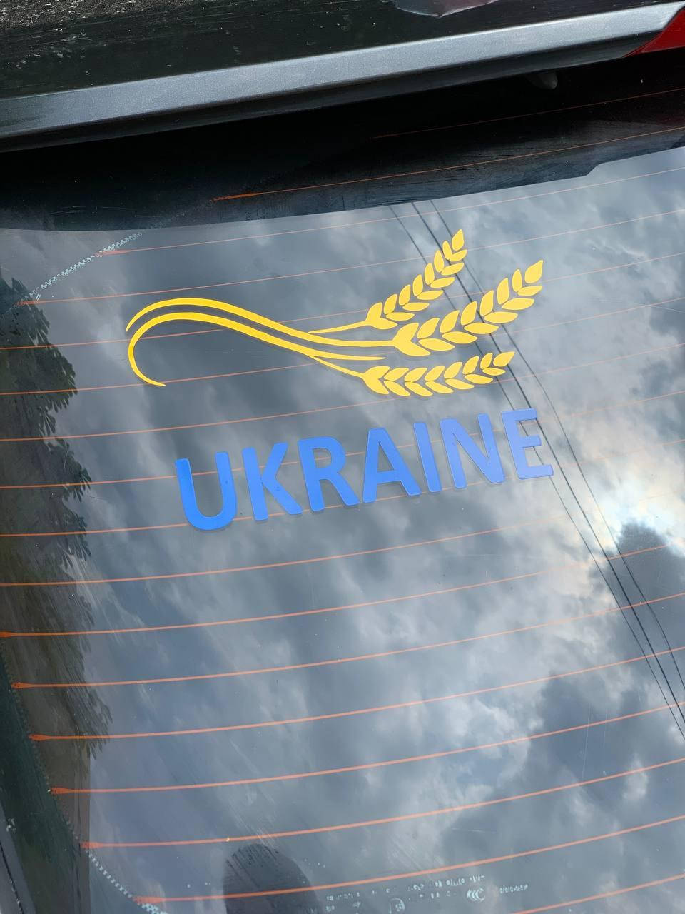 

Наклейка на авто "Колосок" 20х13 см
