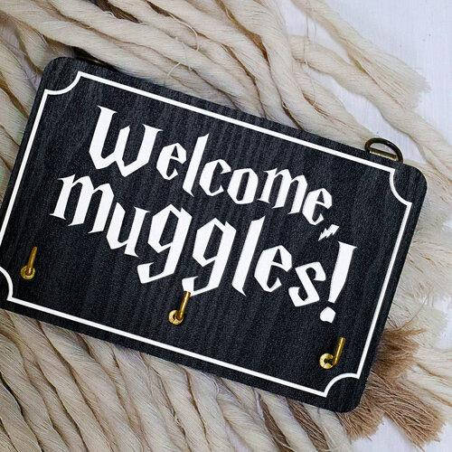 

Ключница настенная горизонтальная Welcome muggles 10х15 см (KEDL_21S023)
