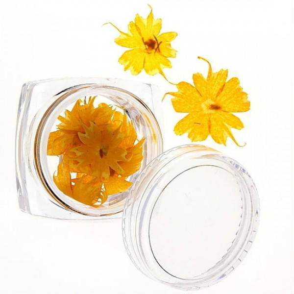 

Сухоцветы №48, Желтый