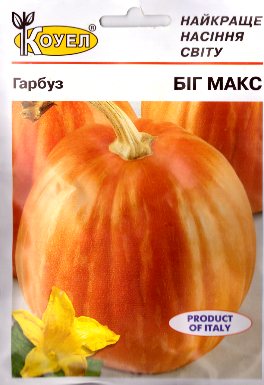 

Семена тыквы Биг Макс 10г Коуел