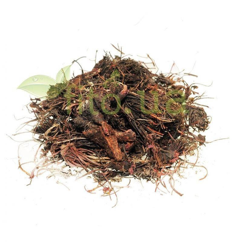 

Красная щетка 50 гр.