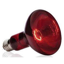 Лампи інфрачервоні