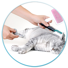 Предмети догляду за кішкою