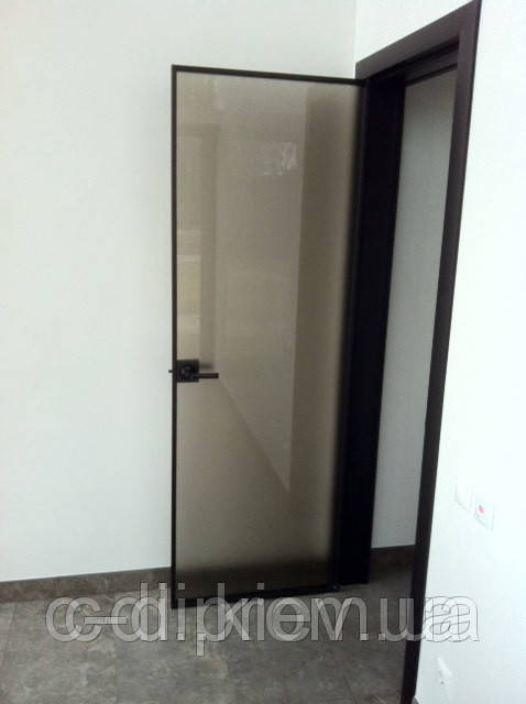 Скляні двері в алюмінієвій рамі, фото 1