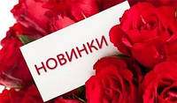 Новое поступление концилярских стаканов