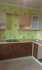 Мойка врезана, индукционная плита также