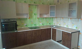 Окончательный вид кухни - светлый верх темный низ. Не все еще установлено. Но общий вид уже сформирован.