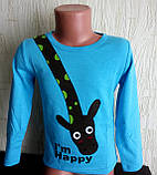 Кофта реглан дитячий для хлопчика 110,120, фото 3