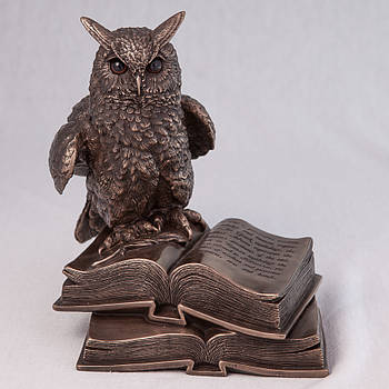 Статуетка Сова на книгах Veronese 17 см 74110A4, символ мудрості