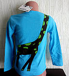 Кофта реглан дитячий для хлопчика 110,120, фото 4