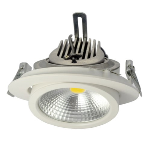 Регульований (Trunk Downlight) LED світильник 12/20/35W