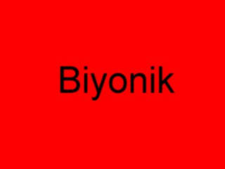 Серія слухових апаратів Biyonik