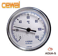 Термометр для отопления CEWAL (0-120° С) погружной фронтальный (Италия)
