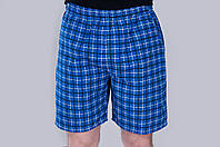 Чоловічі шорти в клітинку (плащівка), синього кольору