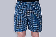 Чоловічі шорти в клітинку (плащівка), синього кольору