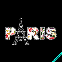 Термоперевод на пончо Paris