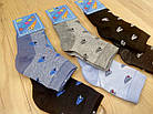 Шкарпетки дитячі сітка літні х/б "BFL" 28-30р НДЛ-09130, фото 3