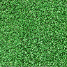 Вінілова Плитка LG - DecoTile -  2987 Трава Зеленая