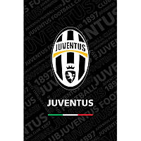 Блокнот Juventus, 48 листов