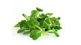 Салат Маш 125г