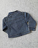 Піджак джинсовий для дівчаток 98,104,110 зросту Весна , фото 2