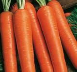 Ванда насіння моркви Нантес, фото 2