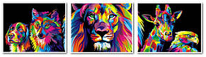 Картини по номерам 40х150 см. Триптих Babylon Райдужний лев - Цар звірів (VPT-022)
