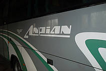 Изготовление замена лобового стекла на автобусе Man Irizar 11.220 в Никополе (Украина) 7