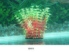 Штучні рослини