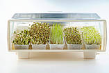Пророщувач мікрозелені спроутер EasyGreen США мікроферма для пророщування насіння, вирощування паростків, фото 3
