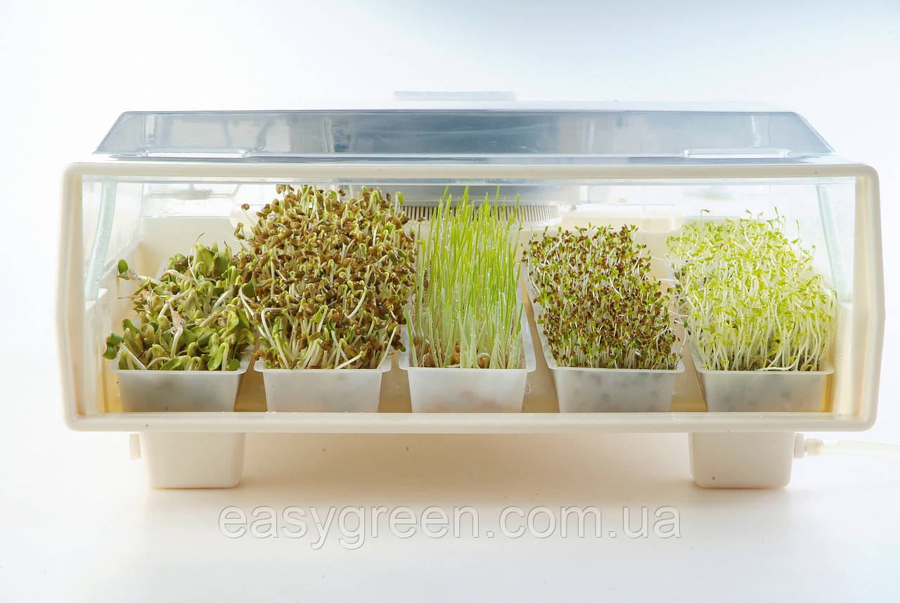 ПРОРАЩИВАТЕЛЬ Микрозелени спроутер EasyGreen США микроферма для ...