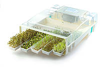 Пророщувач мікрозелені спроутер EasyGreen США мікроферма для пророщування насіння, вирощування паростків